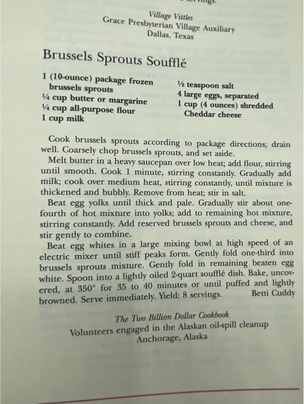 Vintage Community Cookbook, America's Recipes, 1993